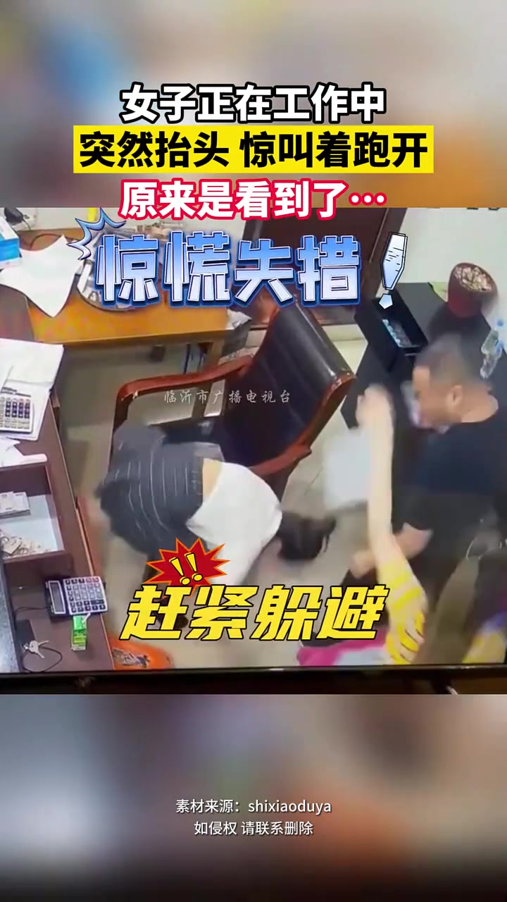 真的会被吓鼠！原来这就是抱头鼠窜！