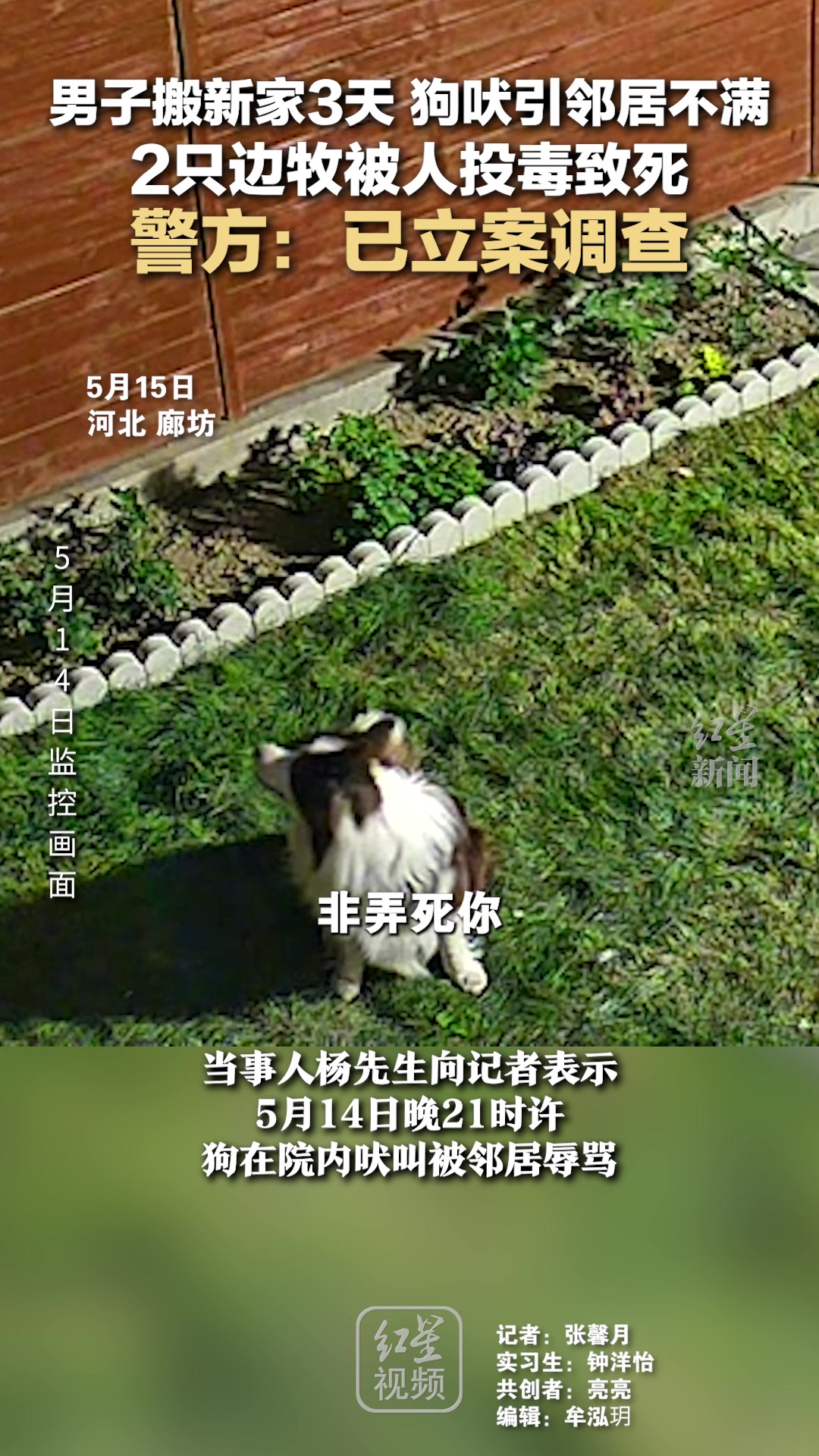 男子搬新家3天 狗吠引邻居不满 2只边牧被人投毒致死！