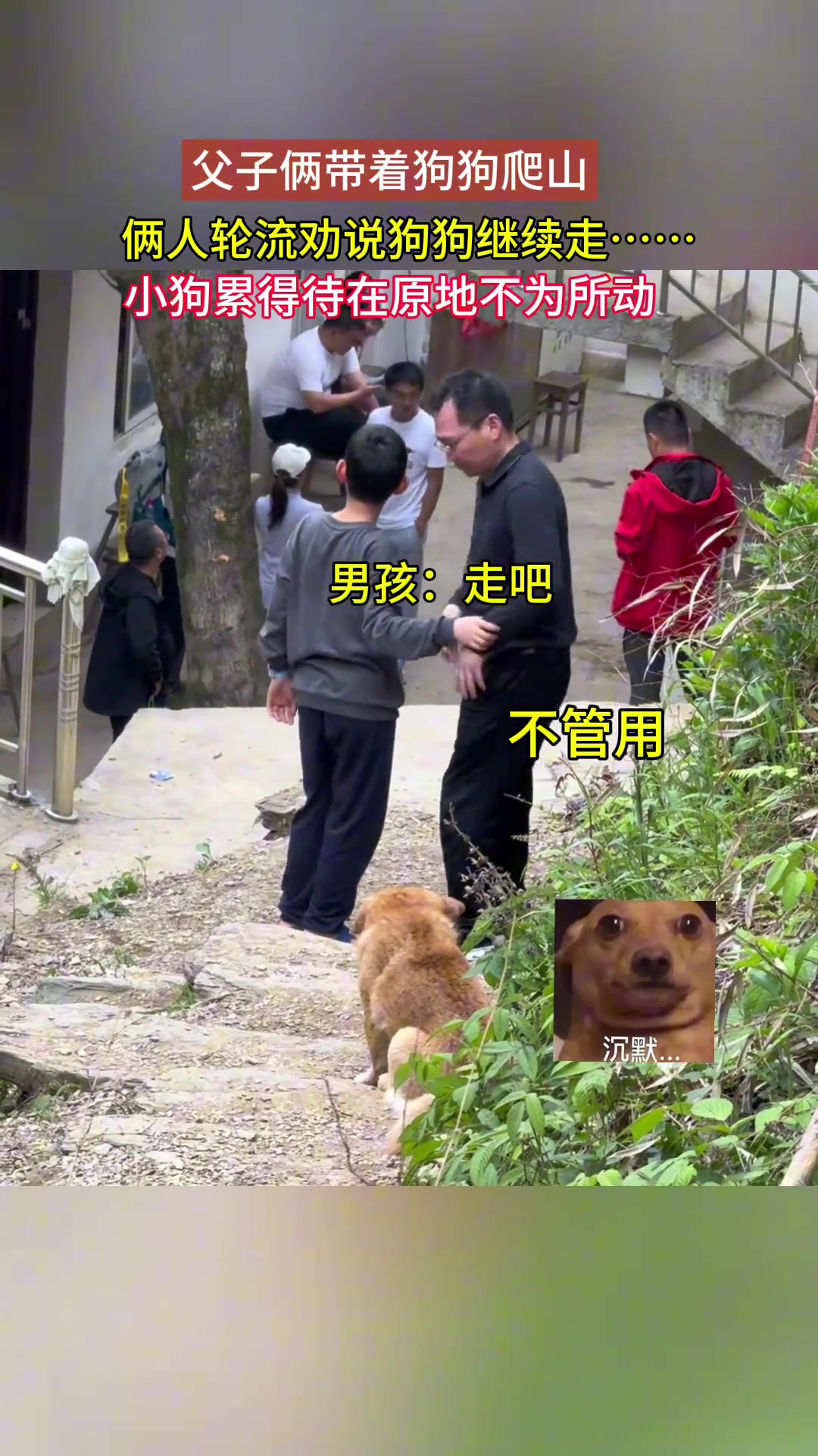 小黄累得走不动了，主人轮流停下为它加油
