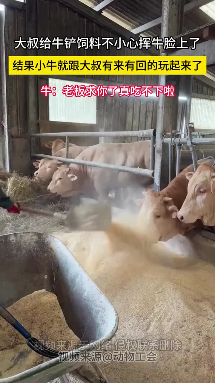 用这考验干部？