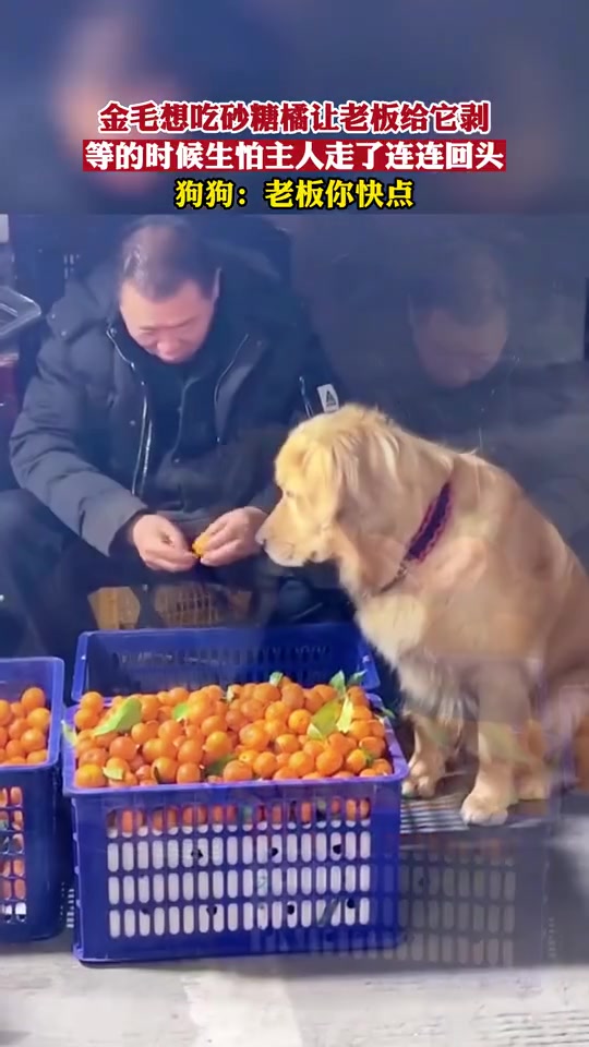 快点！我们卧底交易时间只能有5分钟
