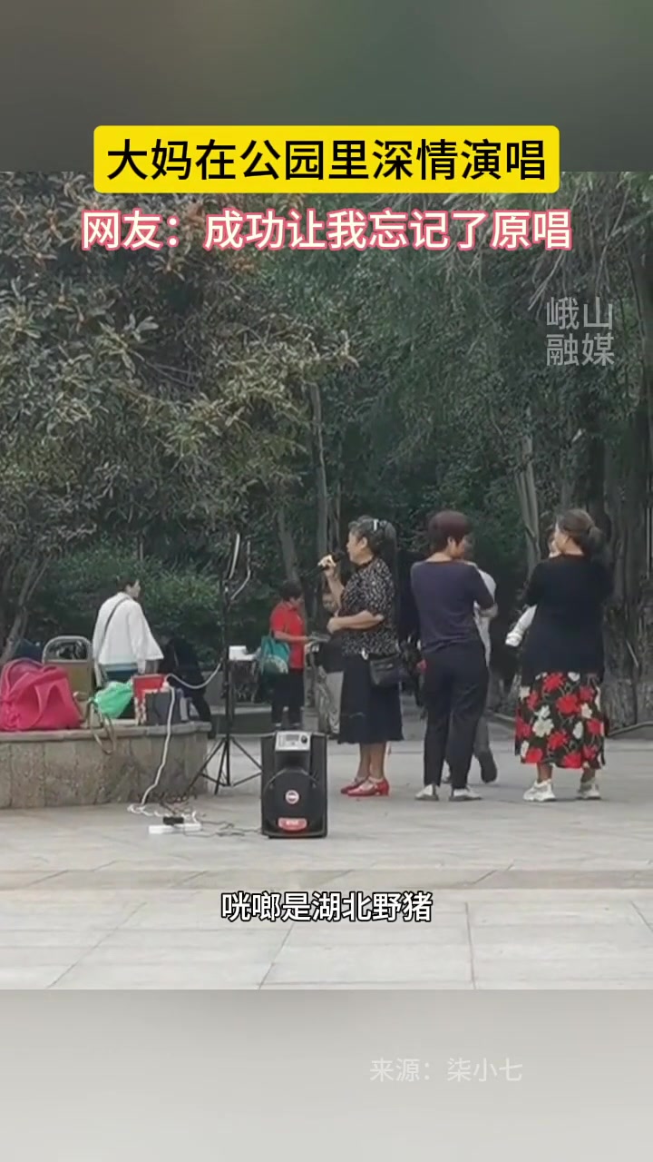 “让人忘记原唱的灵魂歌手 ”大妈在公园里深情演唱
