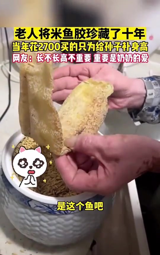 奶奶一直是最爱你的人！！