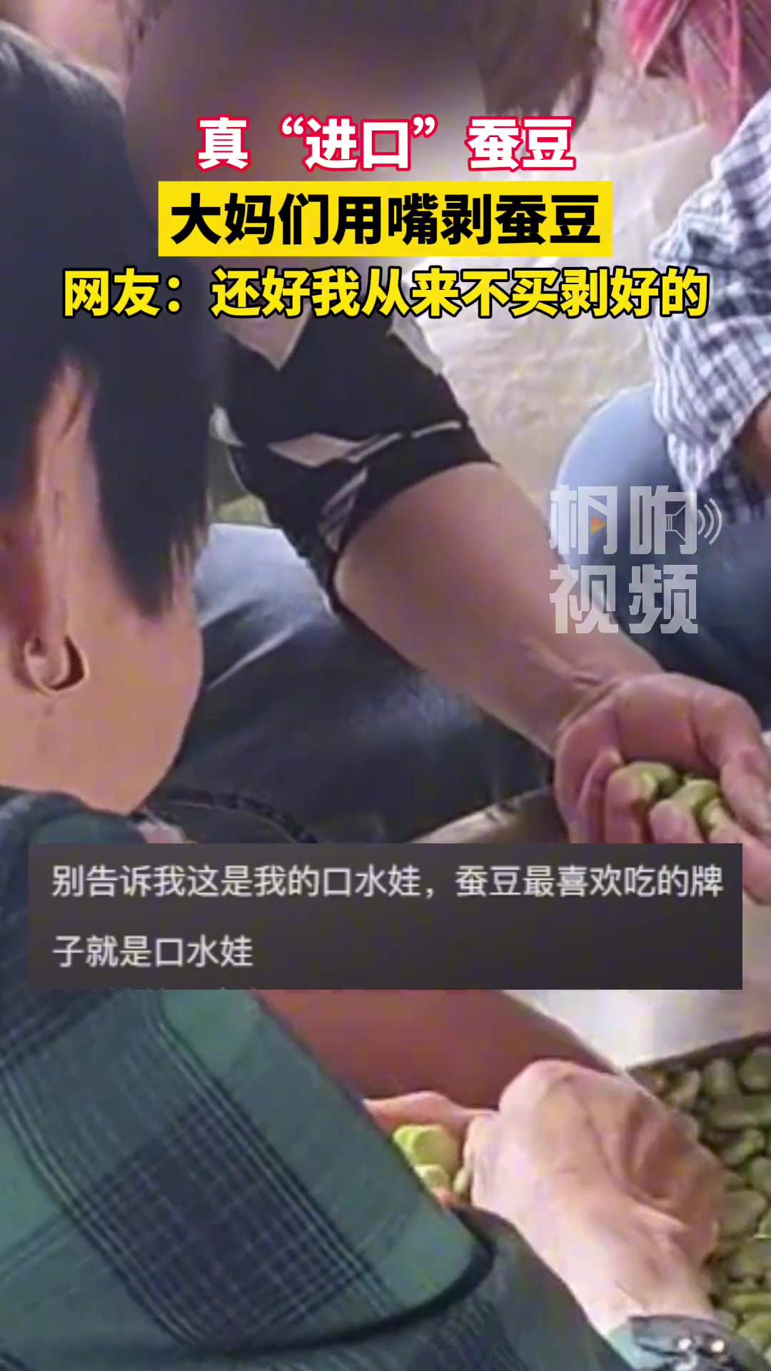 真“进口”蚕豆，为提高速度大妈们用嘴剥蚕豆加工