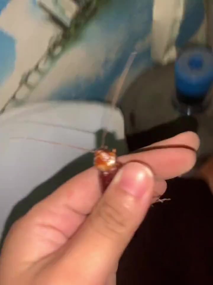 这就把房东撵走了？？？
