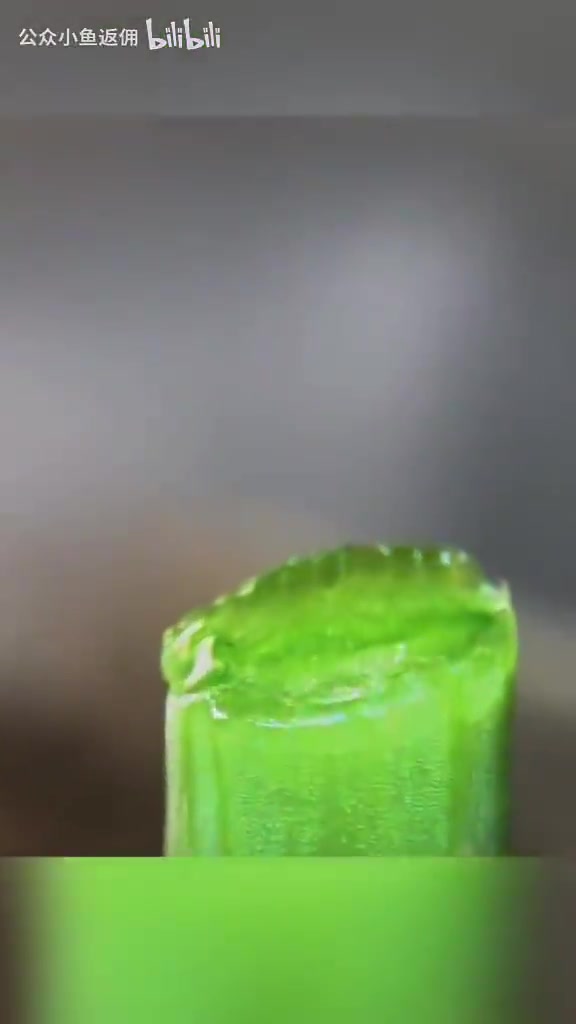 韭菜生长全过程，为什么看完之后一阵心酸