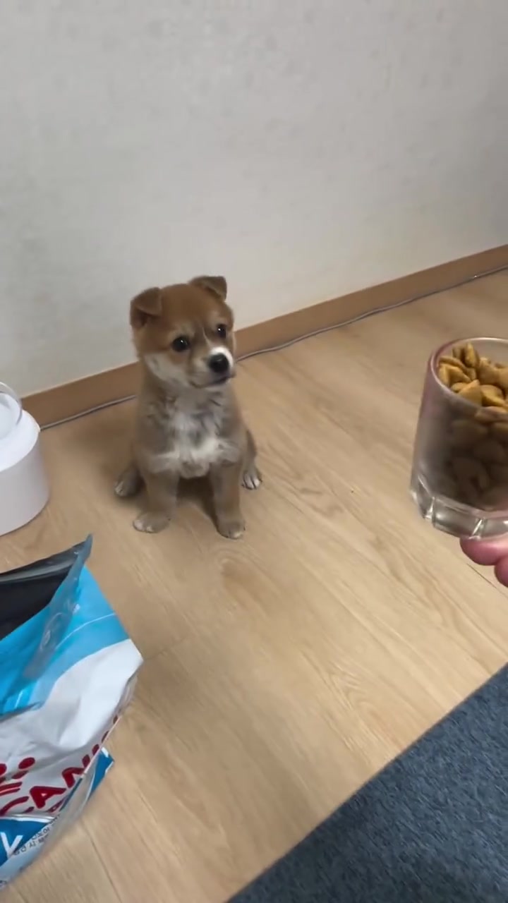 你搁这考验干部呢？快倒啊！
