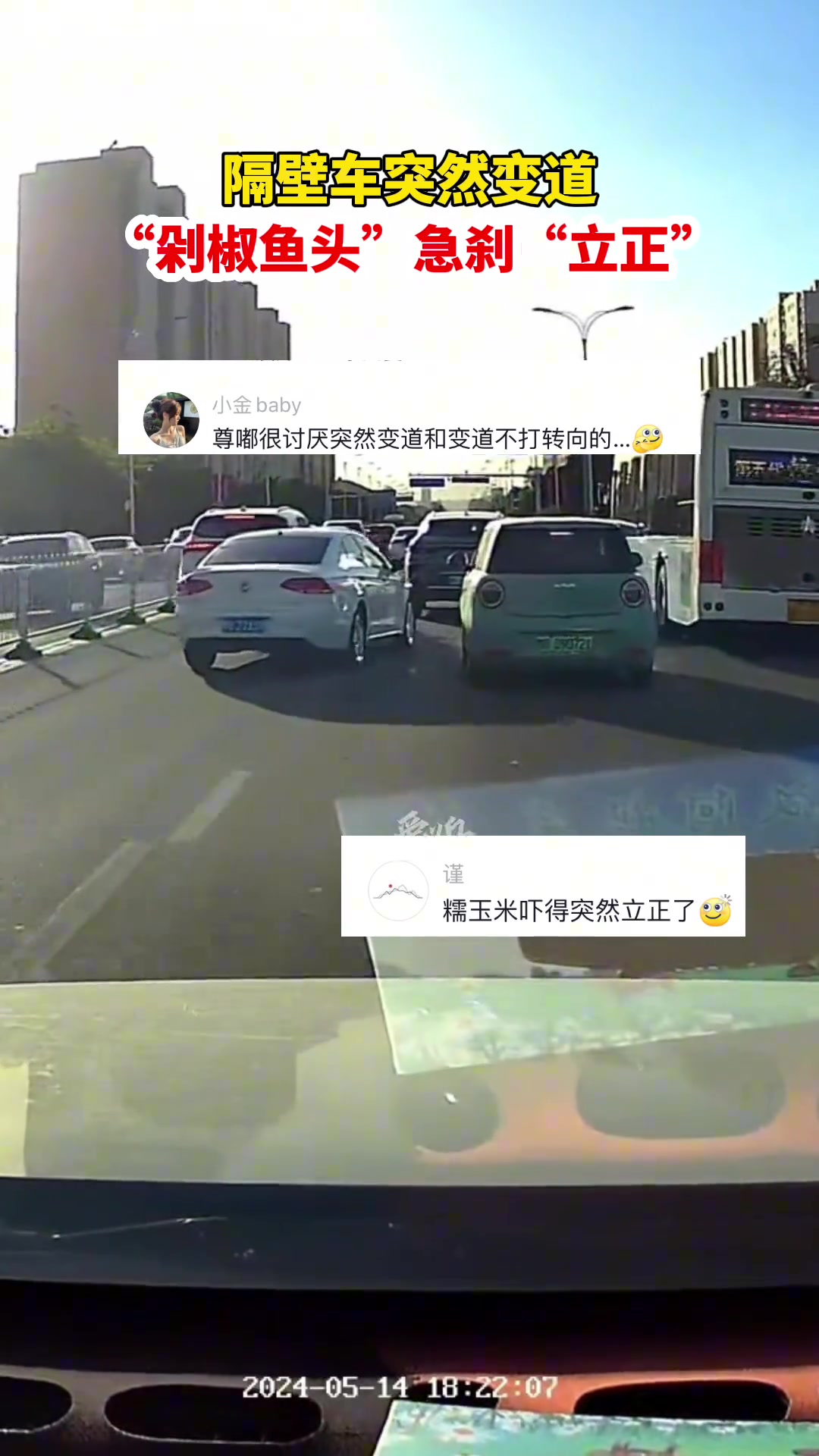 隔壁车突然变道，剁椒鱼头急刹“立正”