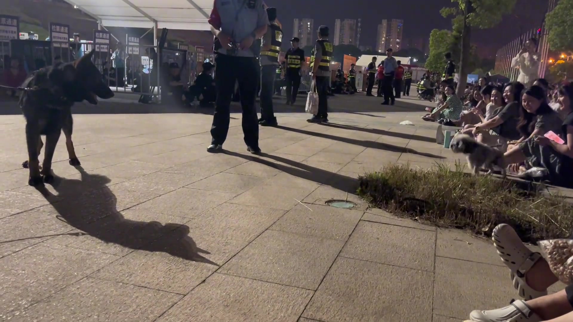 警犬：你等待会没人的，看我削不削你。