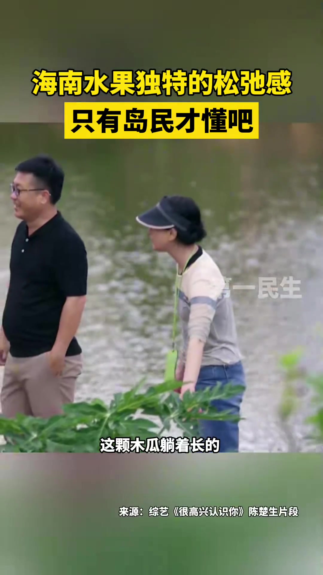 海南水果独特的松弛感，只有岛民才懂吧