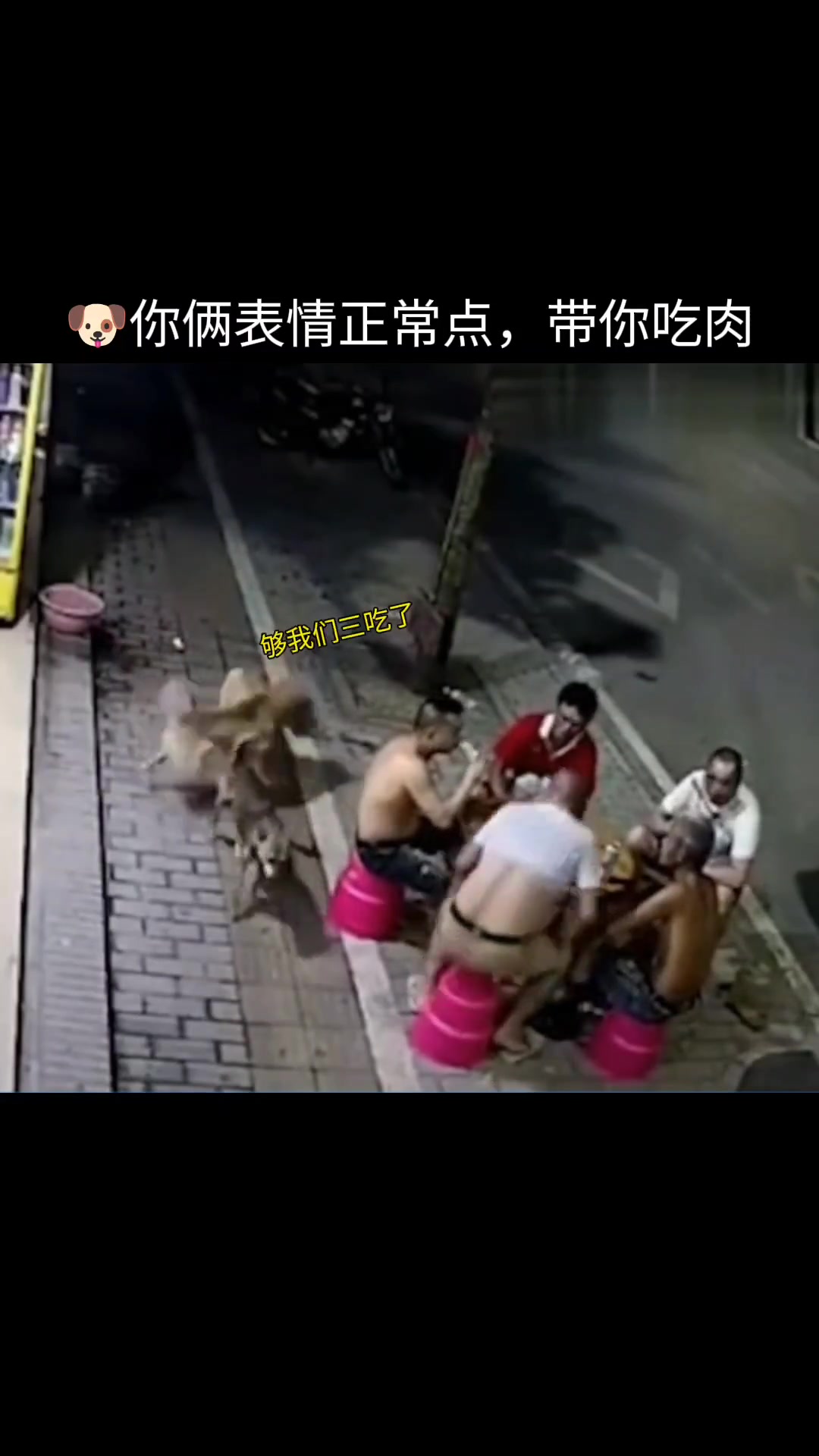 跟着狗哥混，有吃又有喝