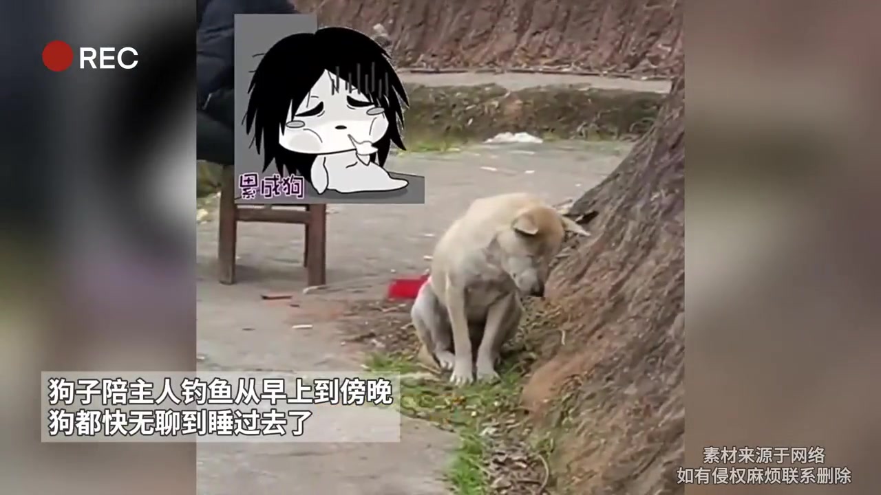 钓鱼佬是靠什么支撑着几个小时盯着那个浮标的