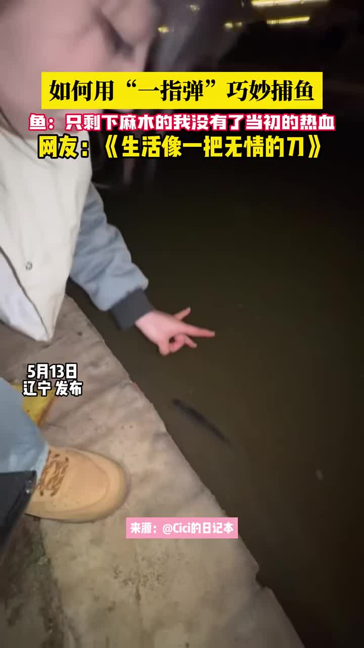 如何用“一指弹”巧妙捕鱼？！