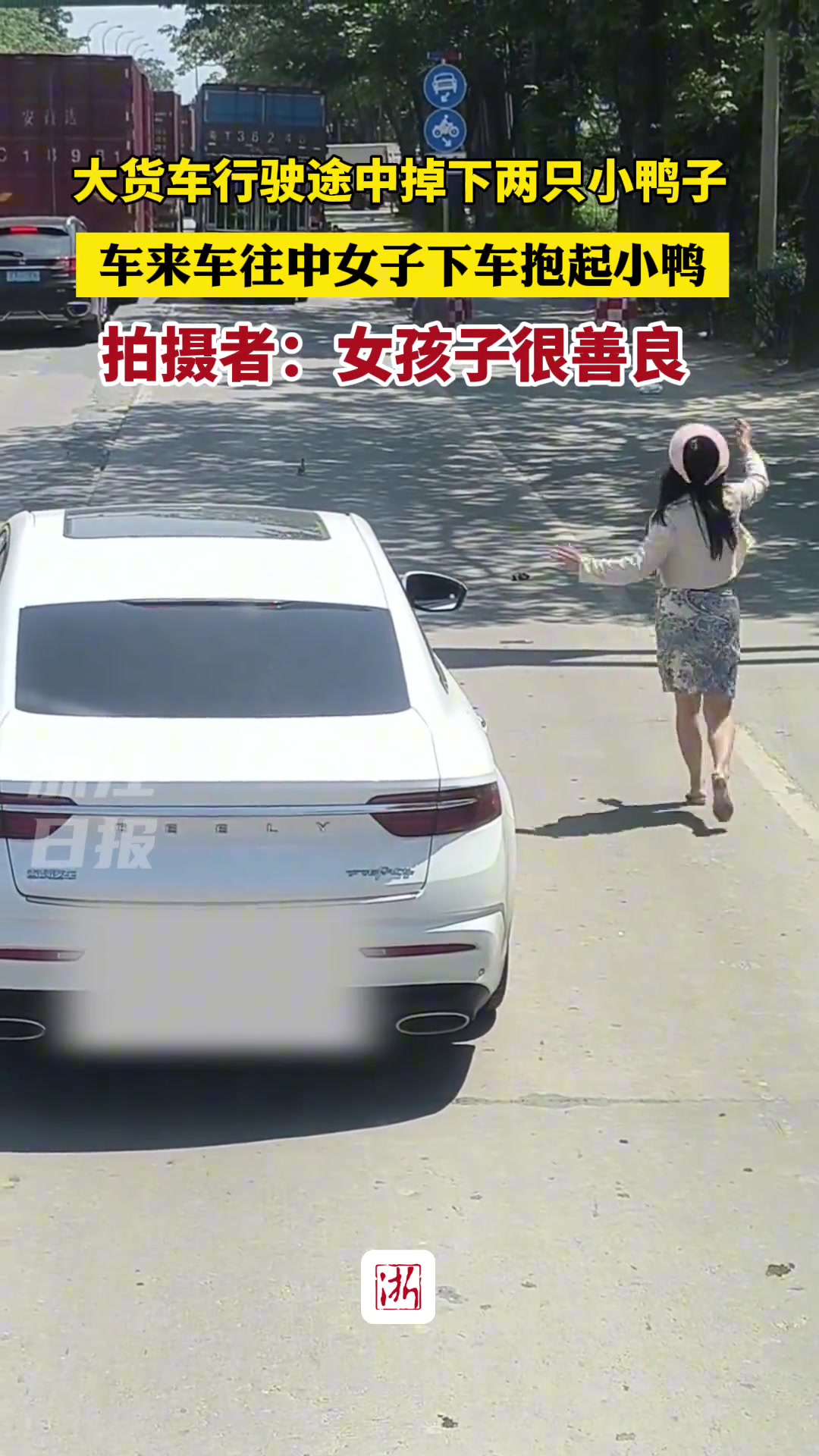 大货车行驶途中掉下两小鸭子 车流中女子下车抱起小鸭