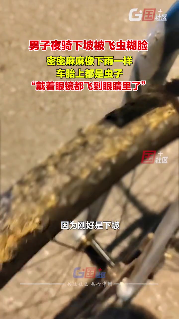 男子夜骑下坡时被飞虫砸的睁不开眼 车胎上都是虫子