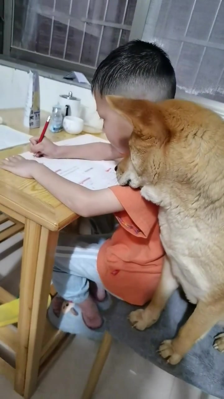 咋滴你能看懂啊？