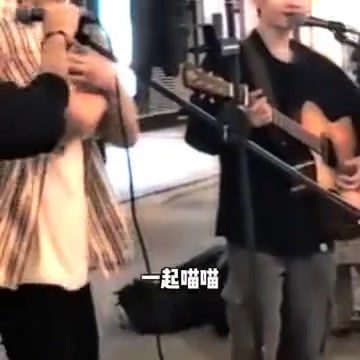猫：歌土跟我有啥关系？我才几个词？