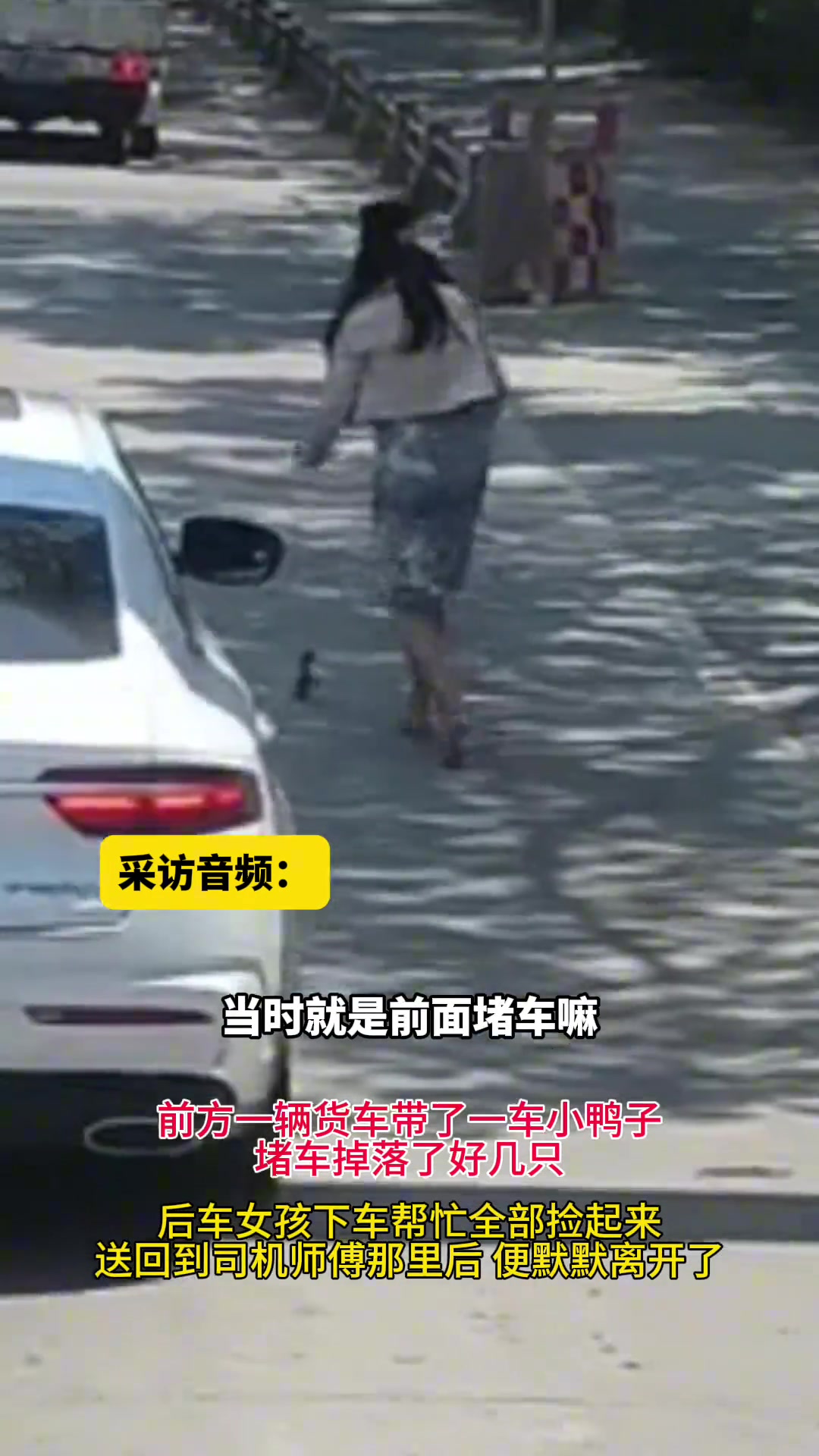 鸭子：谢谢你哦！又要去赶烤