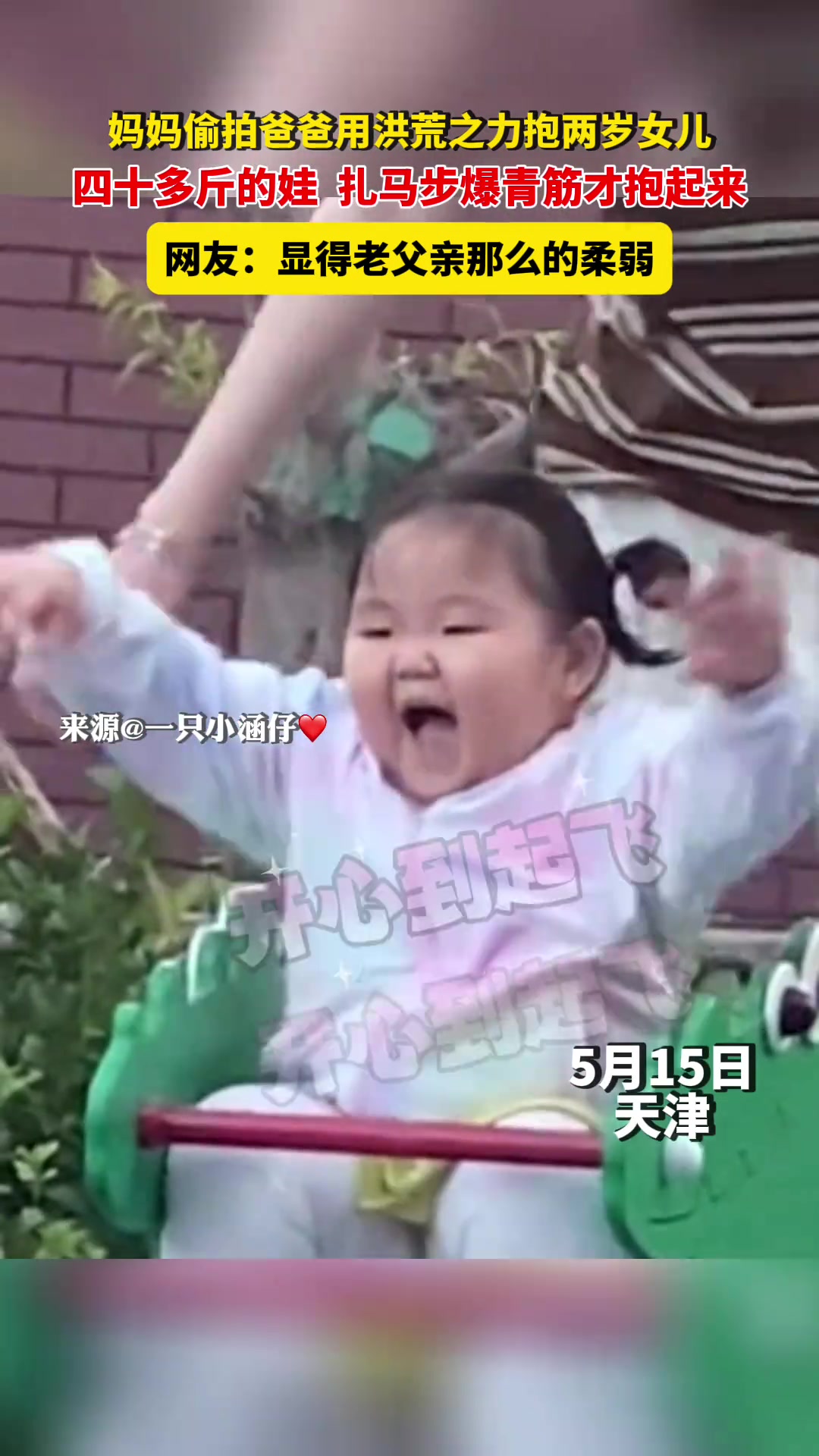 难怪养宠物都养又瘦又会飞的！