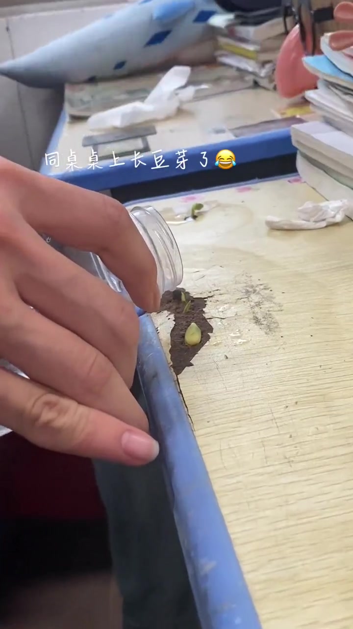 后悔高中的时候没试一下