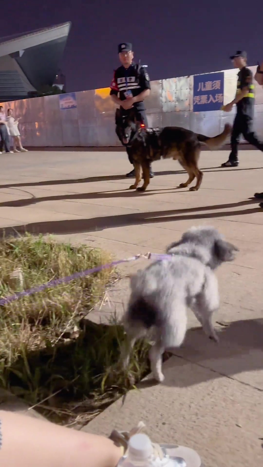 警犬：骂太难听了 受不了了