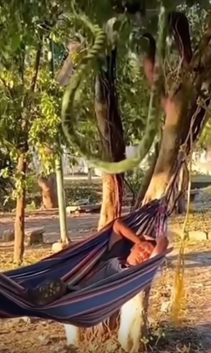 我想要逃，却逃不掉