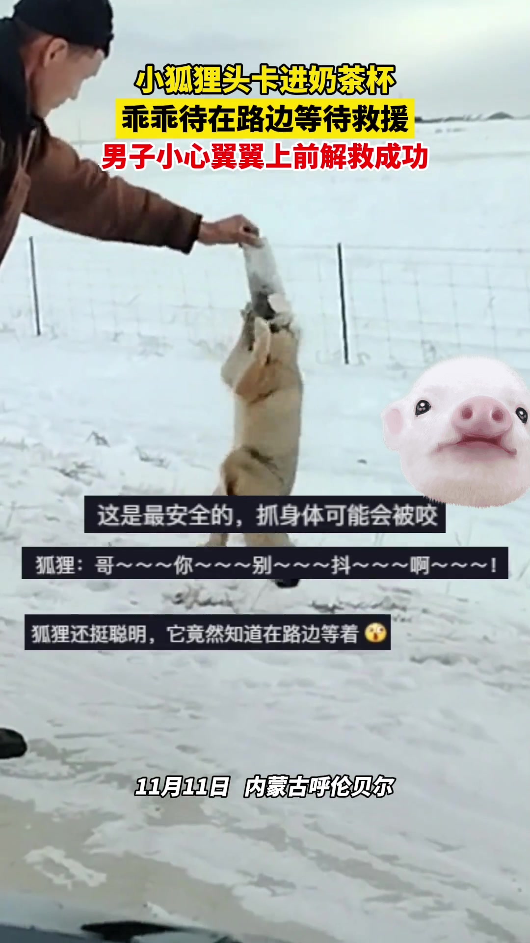 卡面来搭——极狐