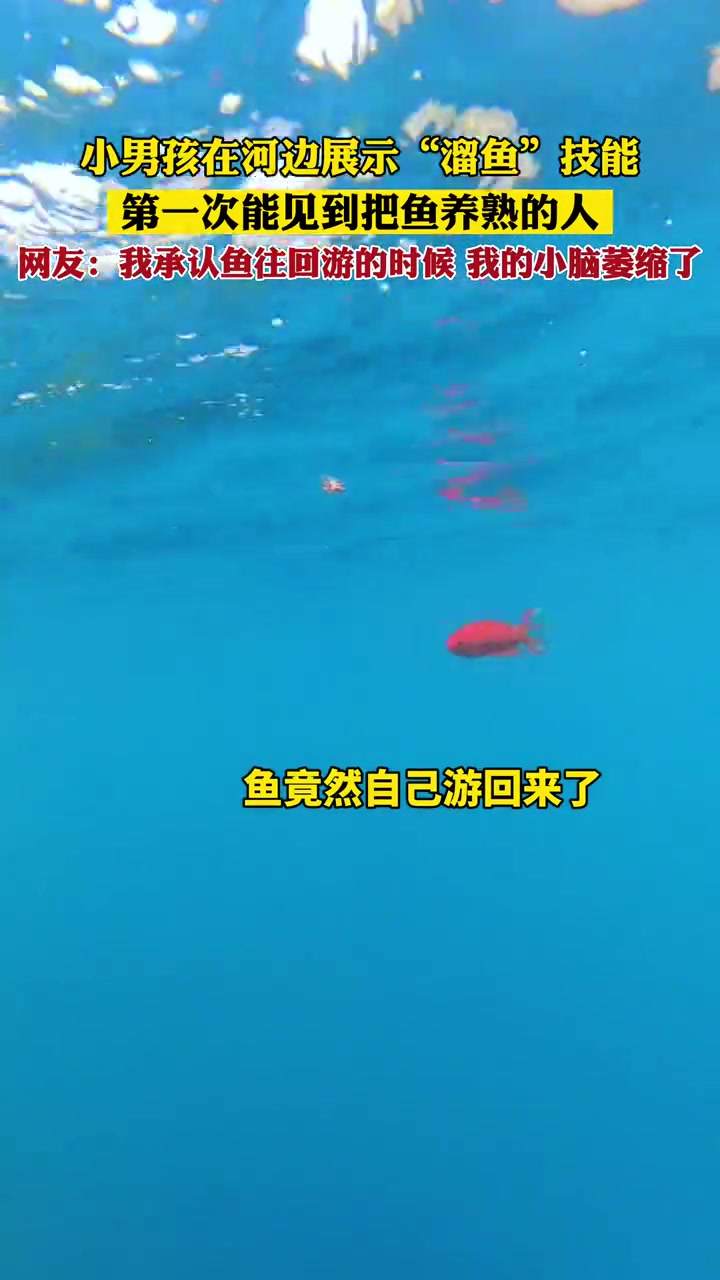 小鱼： 得赶紧回来，不然7秒后就忘了