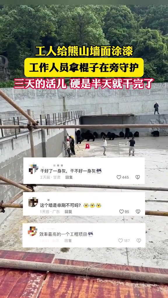 周围都是熊！工人给熊山面涂漆工作人员拿棍子在旁守护