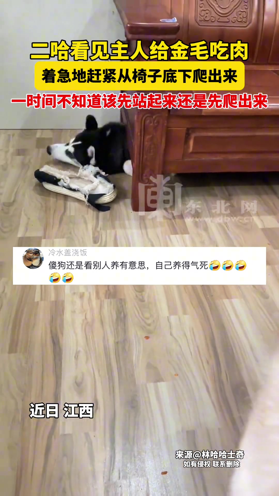 别吃！别吃！