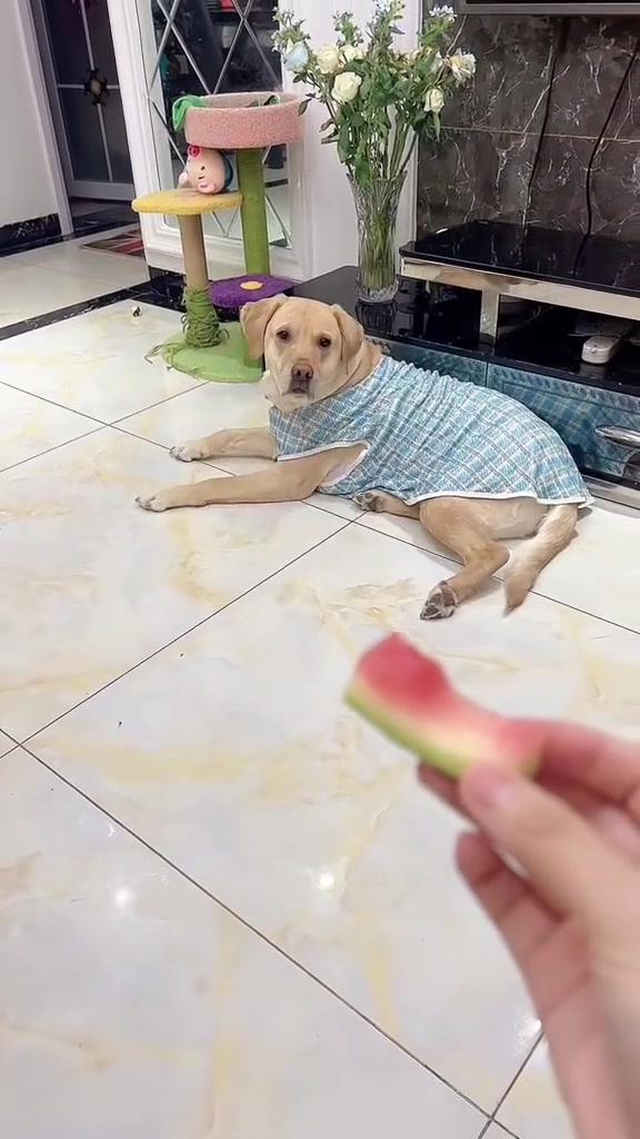 自动粉碎垃圾桶