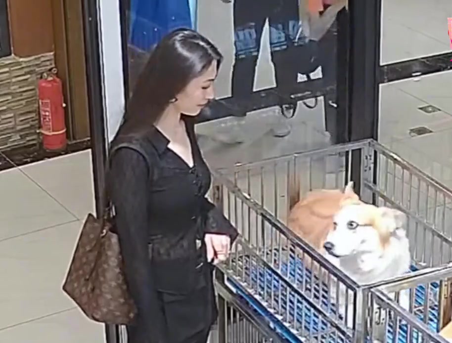 都起来！接客啦！
