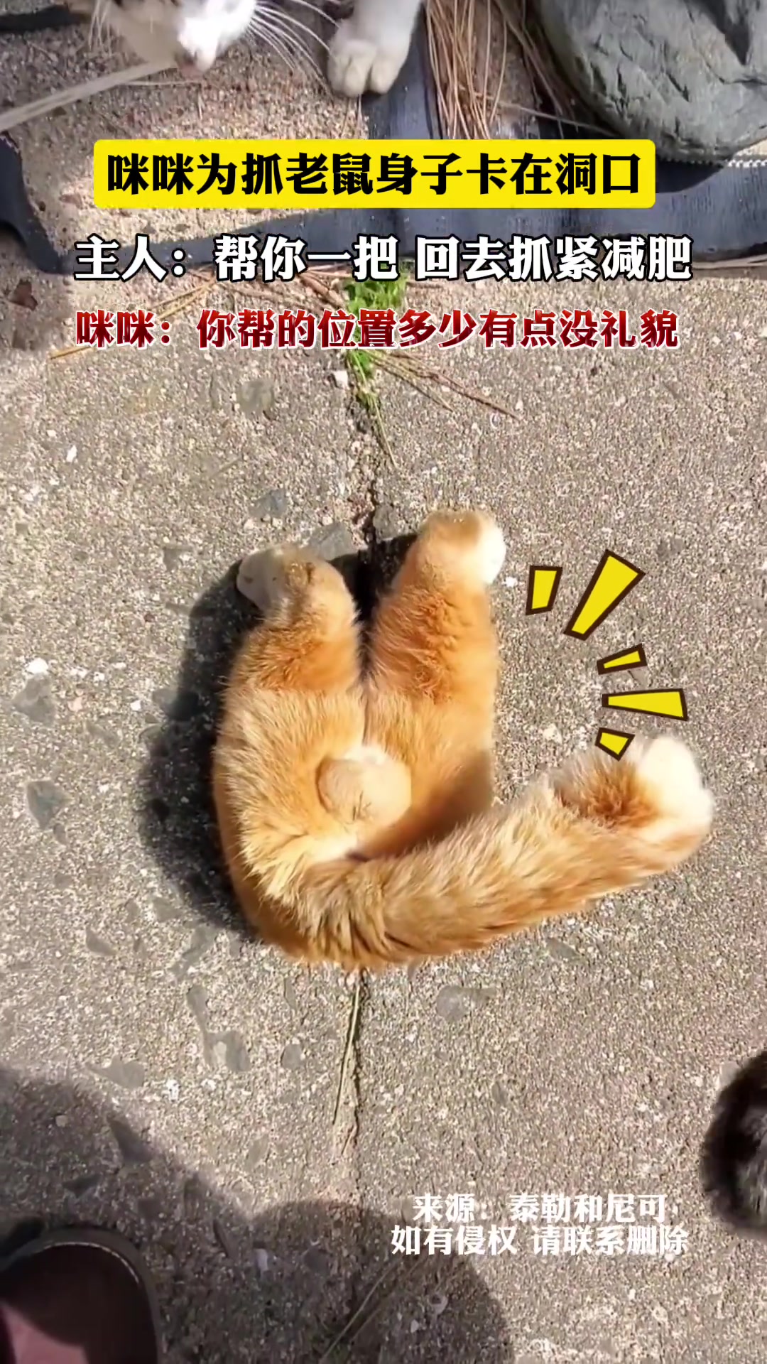 你帮的位置多少有点没礼貌 !