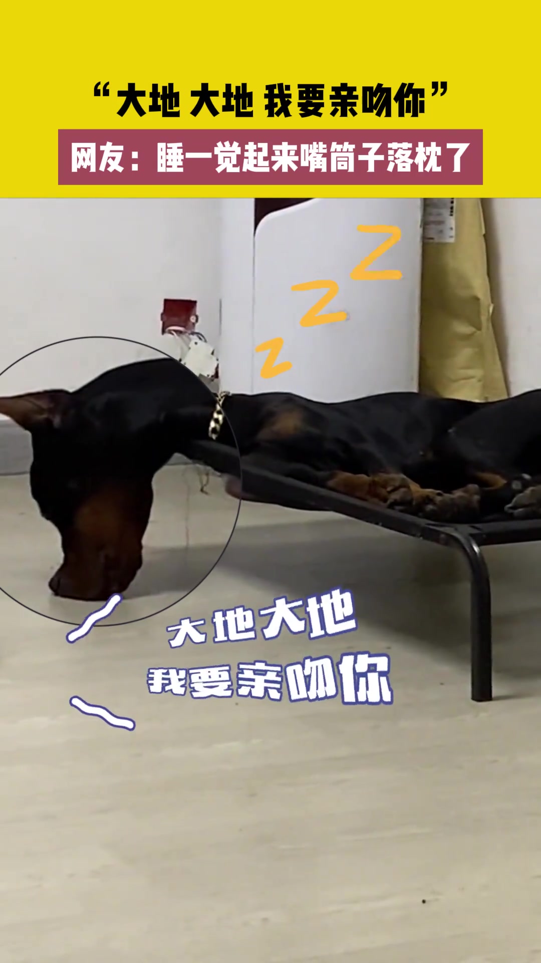 睡一觉起来嘴筒子落枕了