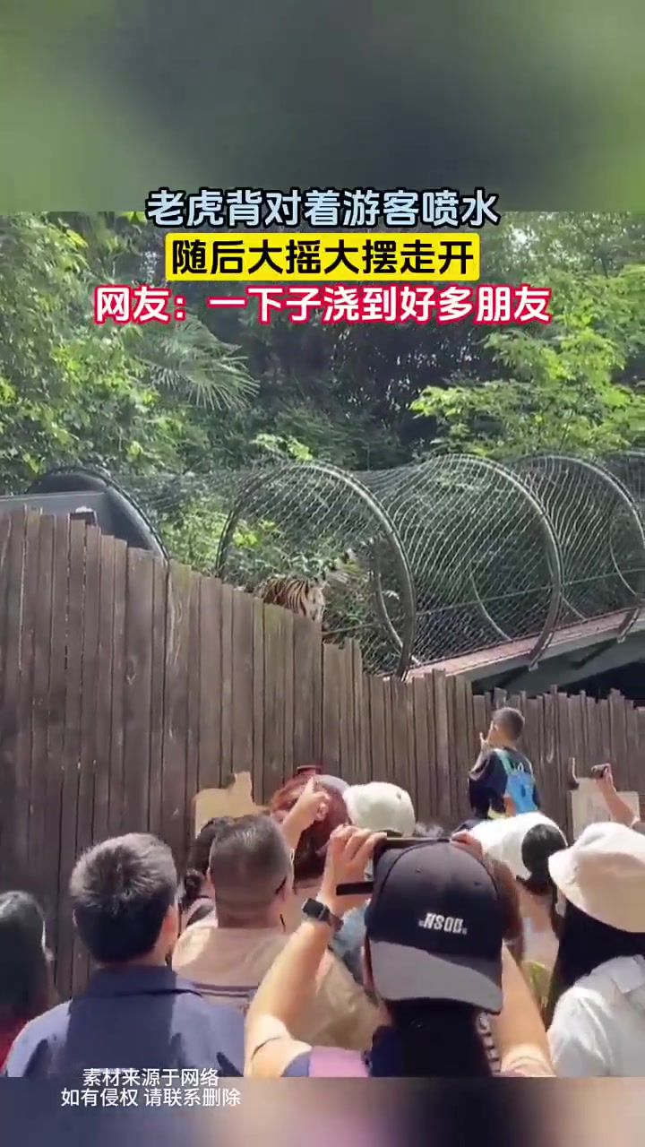 带着这味横扫动物界