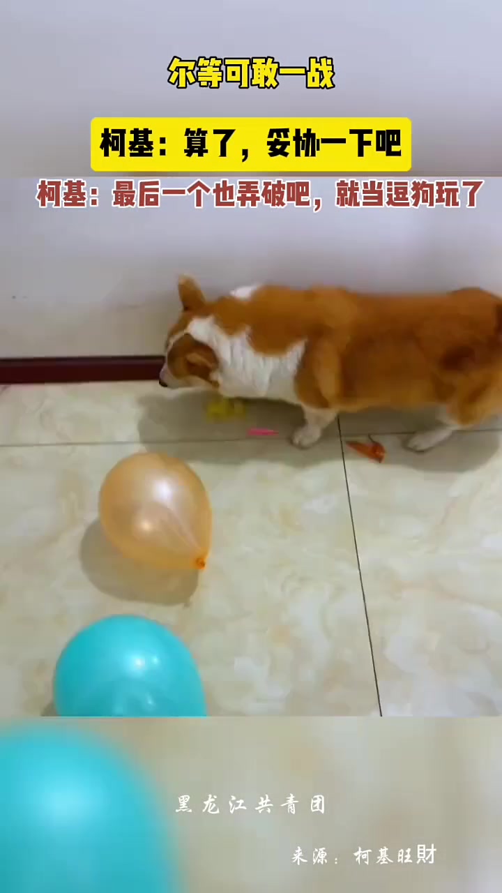 最后一个口感也太Q弹了！