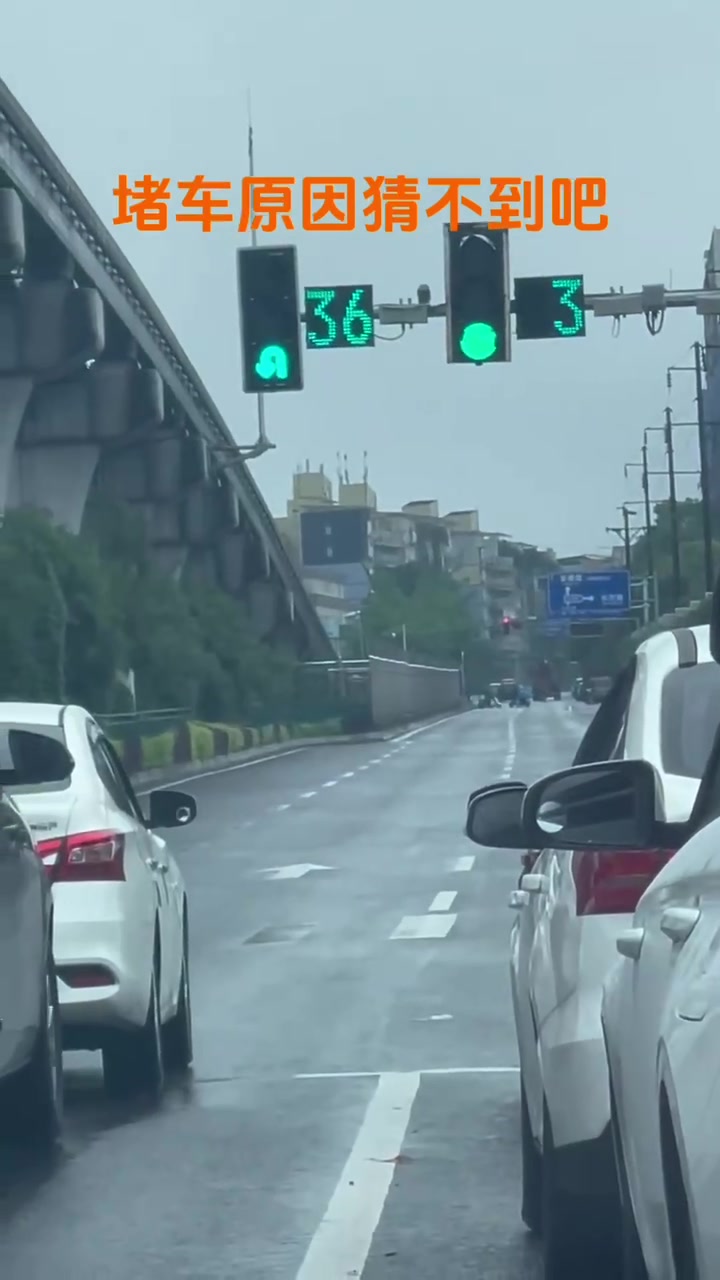 3秒钟红绿灯？你让我弹射起步？
