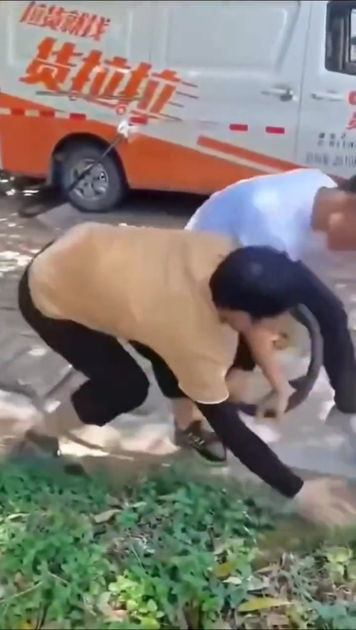 买电车需谨慎，容易打架？！