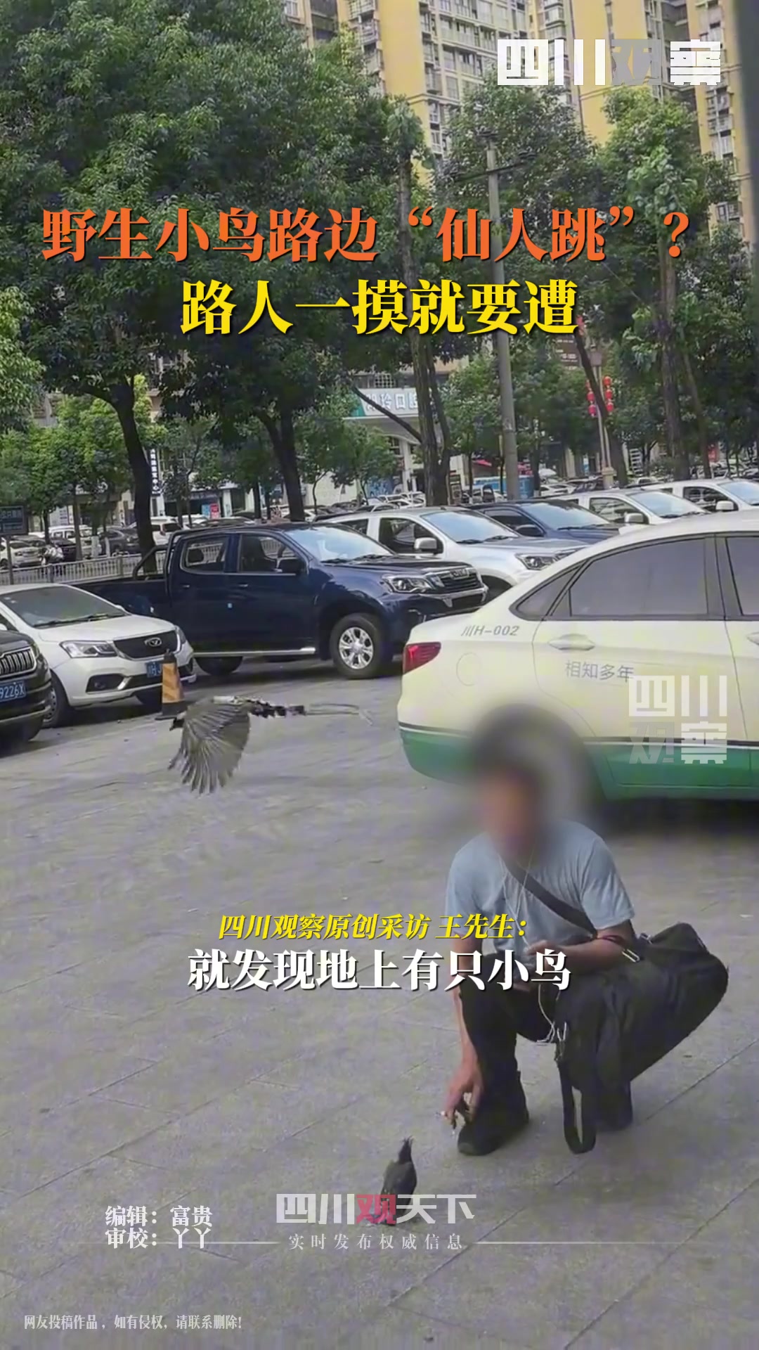 钓鱼执法！！