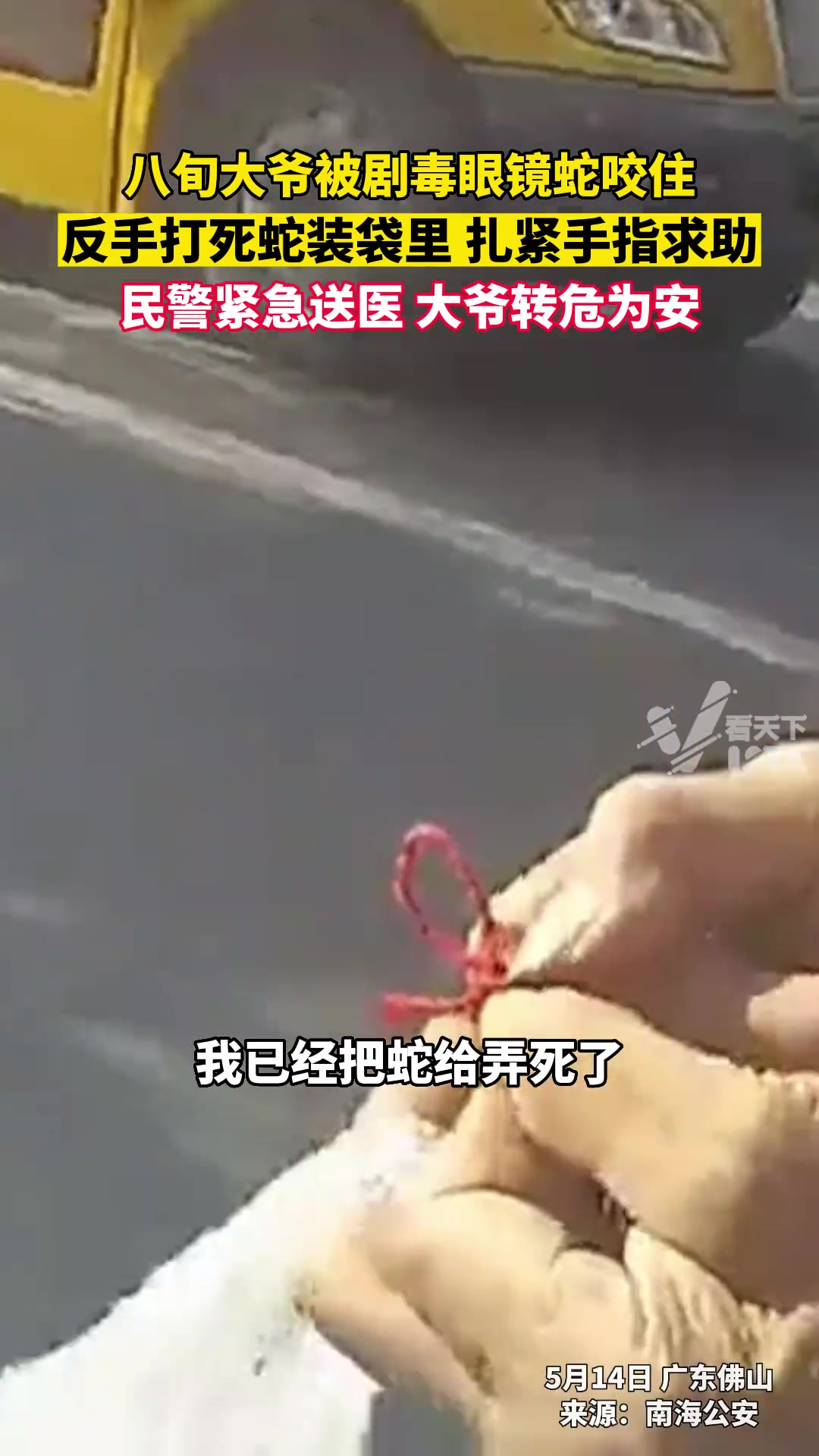 八旬大爷清理杂草被眼镜蛇咬住，反手打死蛇装袋后求助