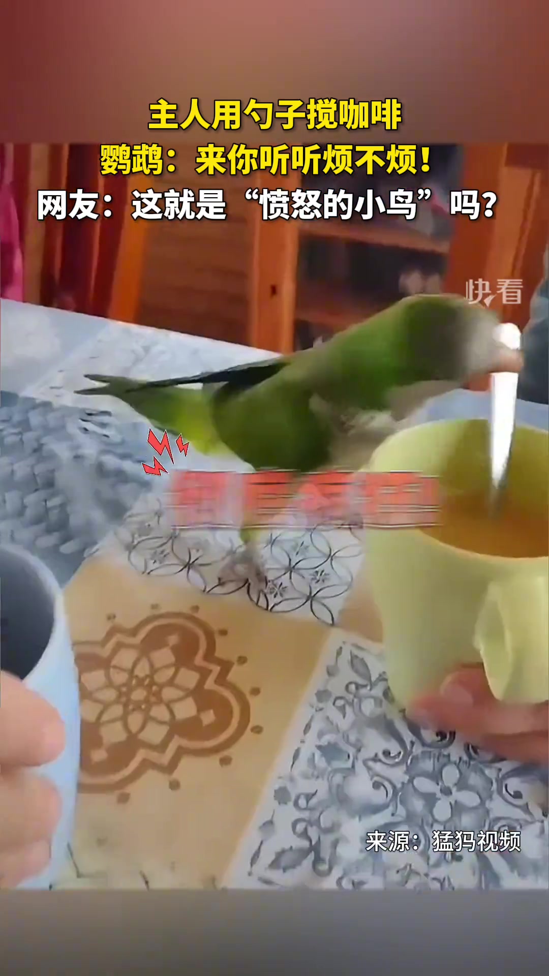 这就是“愤怒的小鸟”