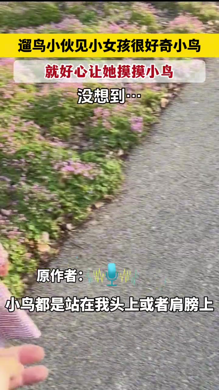 小伙见小女孩好奇自己的小鸟，好心让她摸一摸没想到…