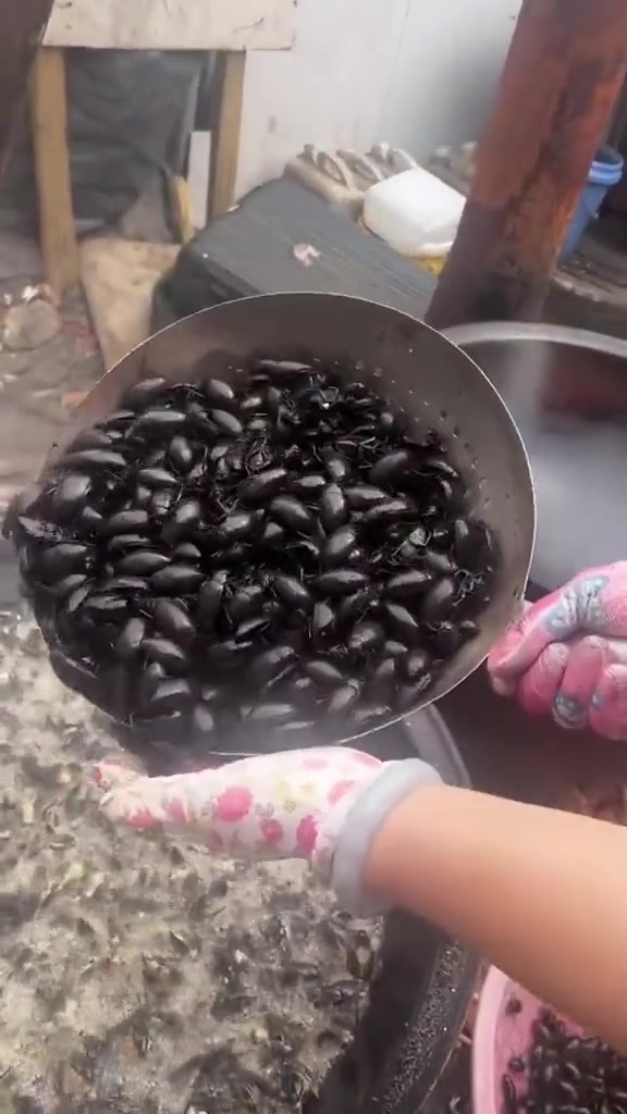 油炸一下，馋哭隔壁家小孩