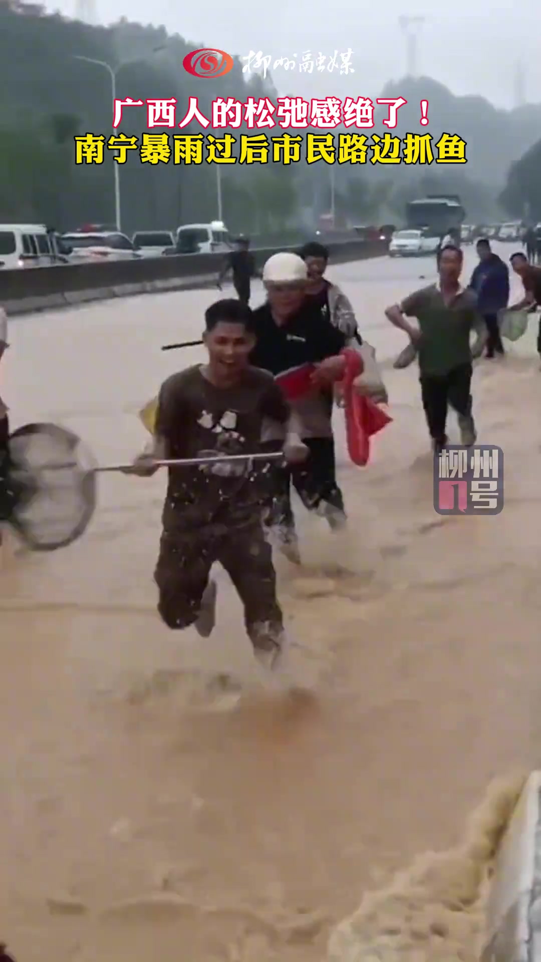 南宁暴雨过后市民路边抓鱼，广西人的松弛感绝了