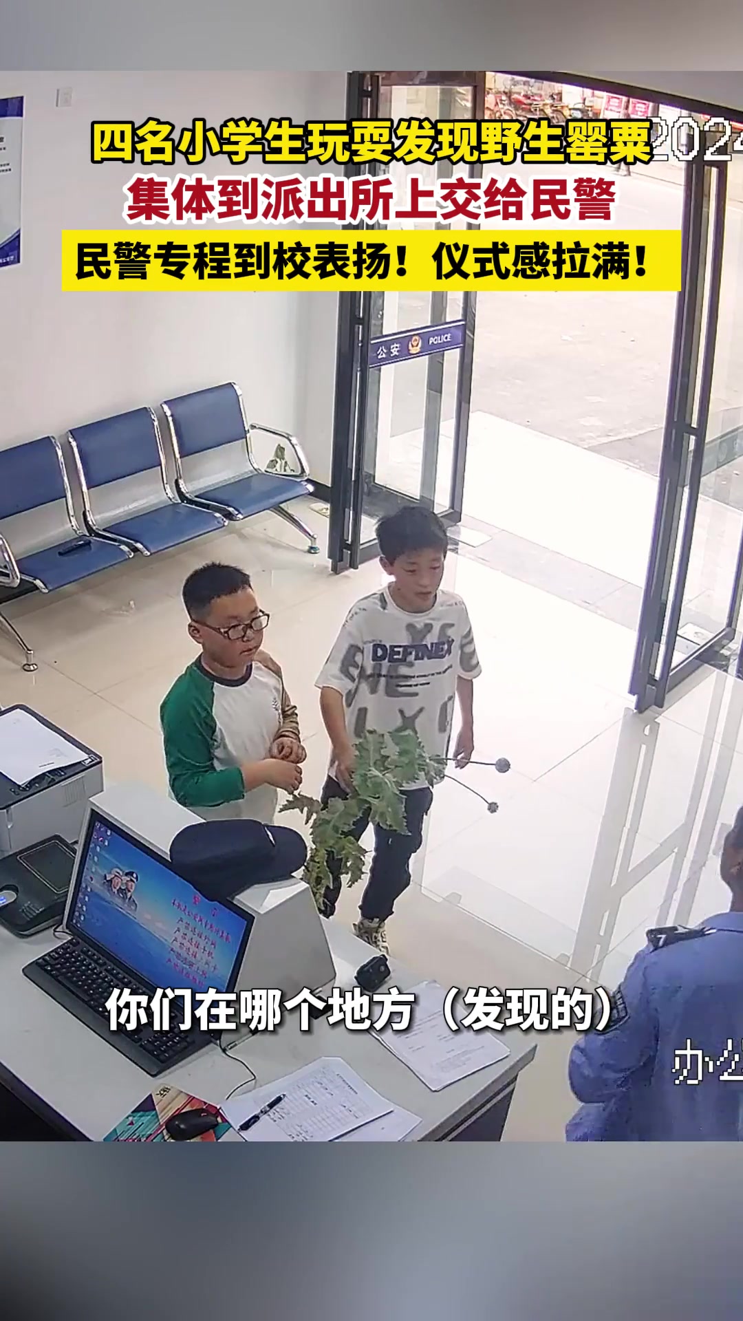 小学生玩耍发现罂粟