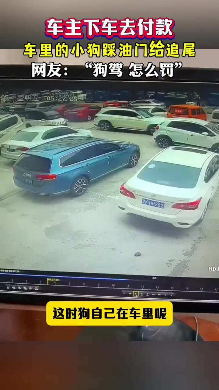 狗驾怎么罚？车主下车去付款，车里的小狗踩油门给追尾