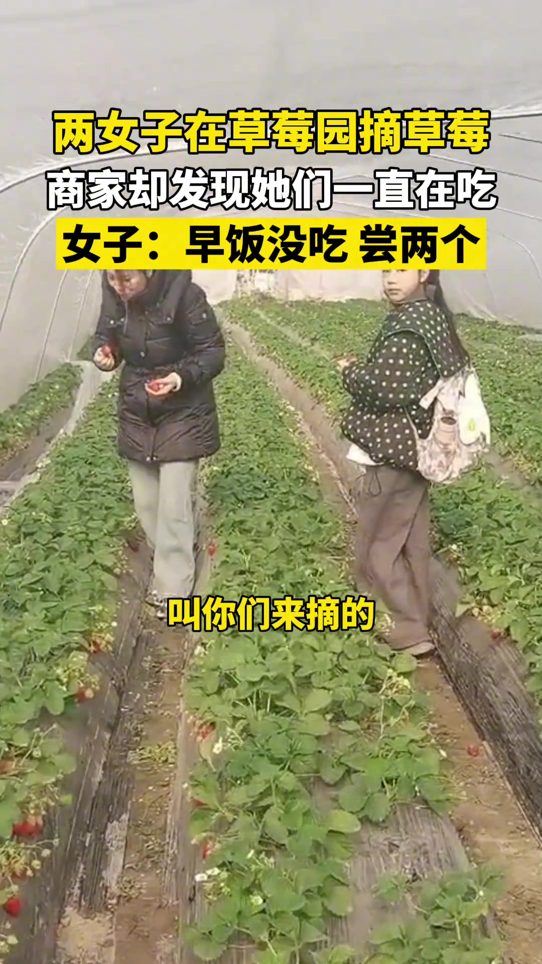 恬不知耻还在笑！