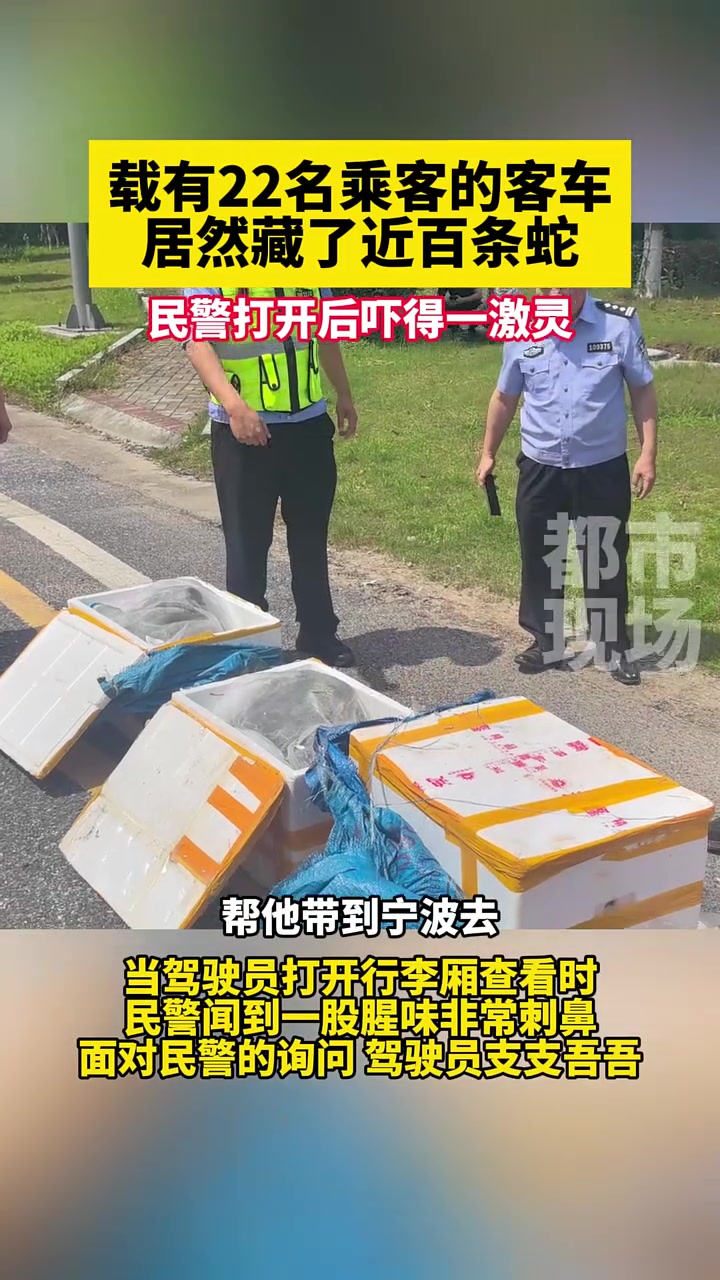 载有22名乘客的客车，居然藏了近百条蛇！！