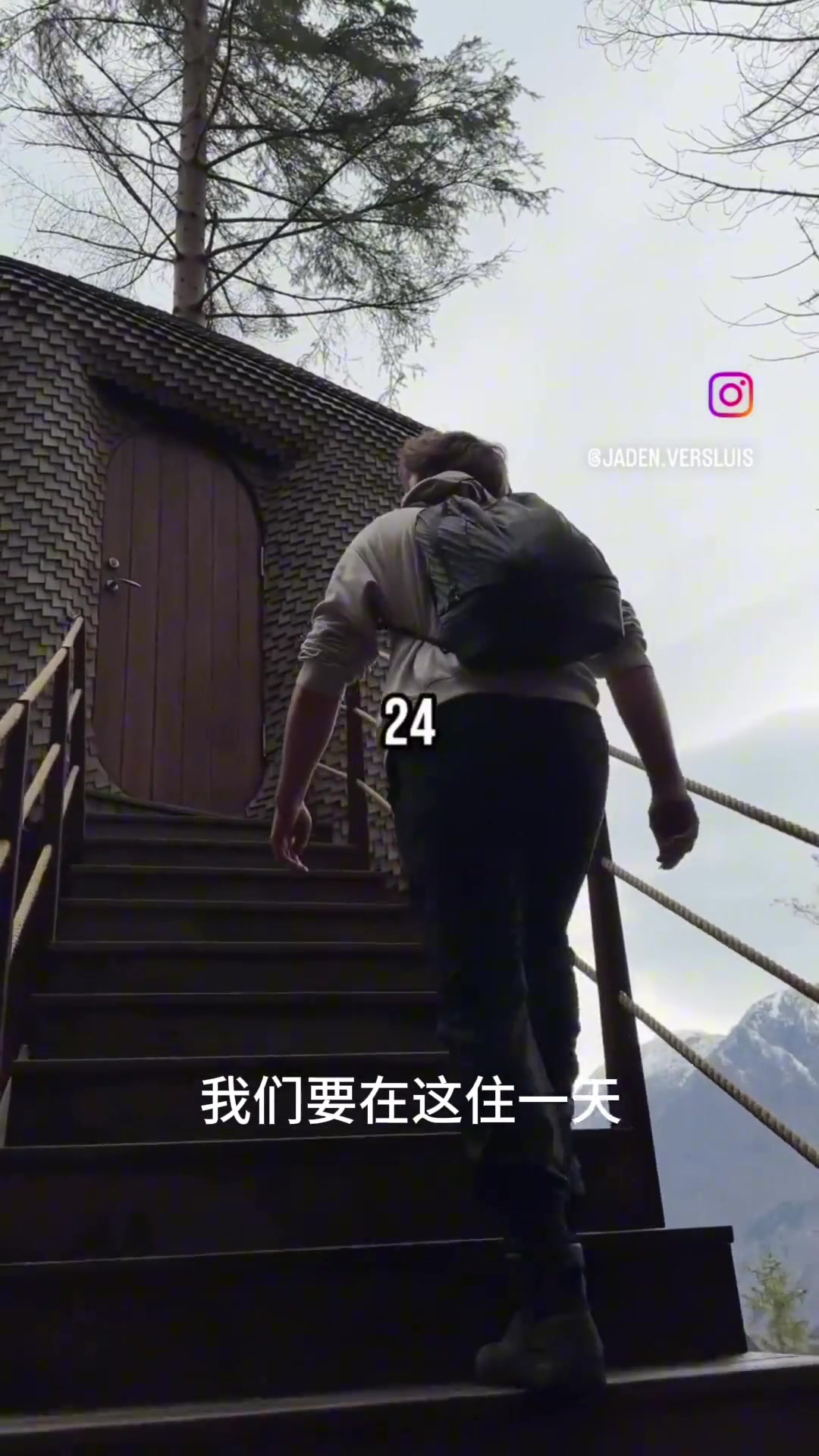 住在巢里是什么体验？