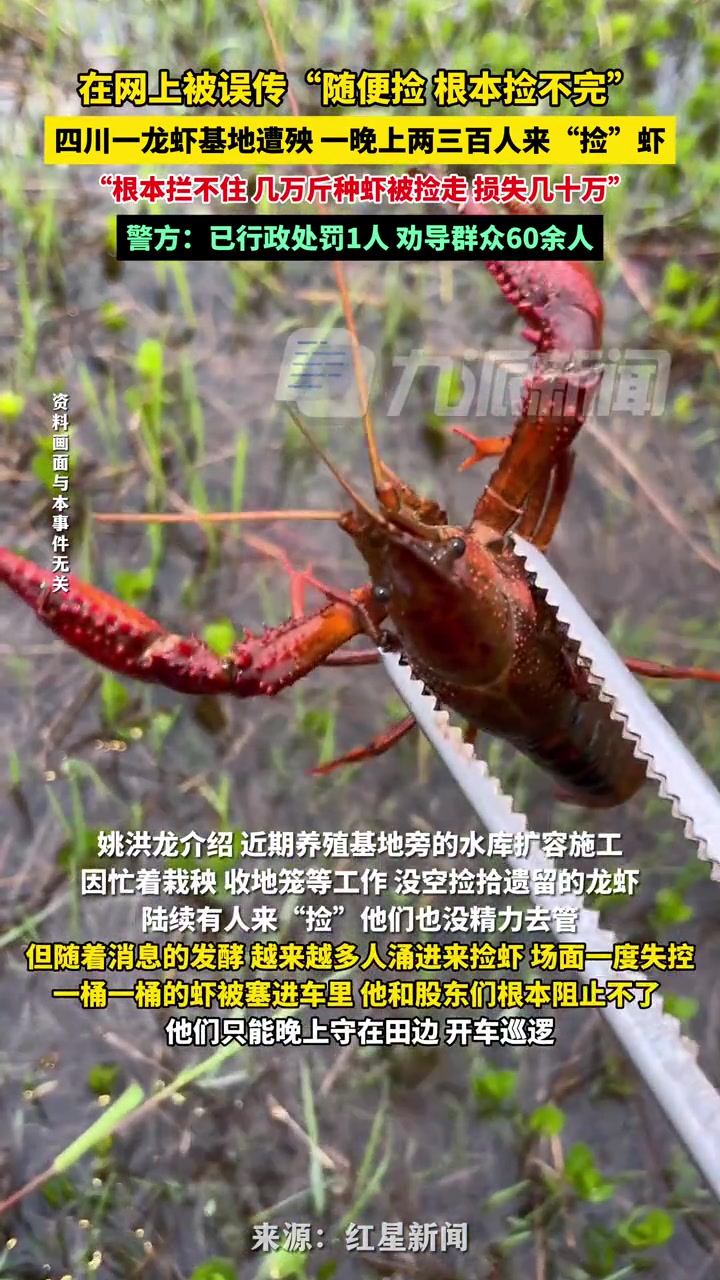网上博主恶意引导！真的害人！